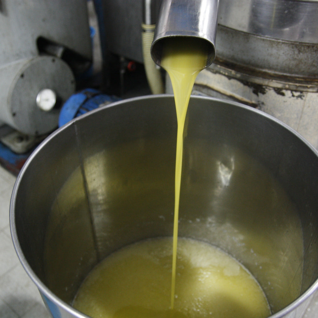 olio extravergine di oliva costa degli dei 1 L